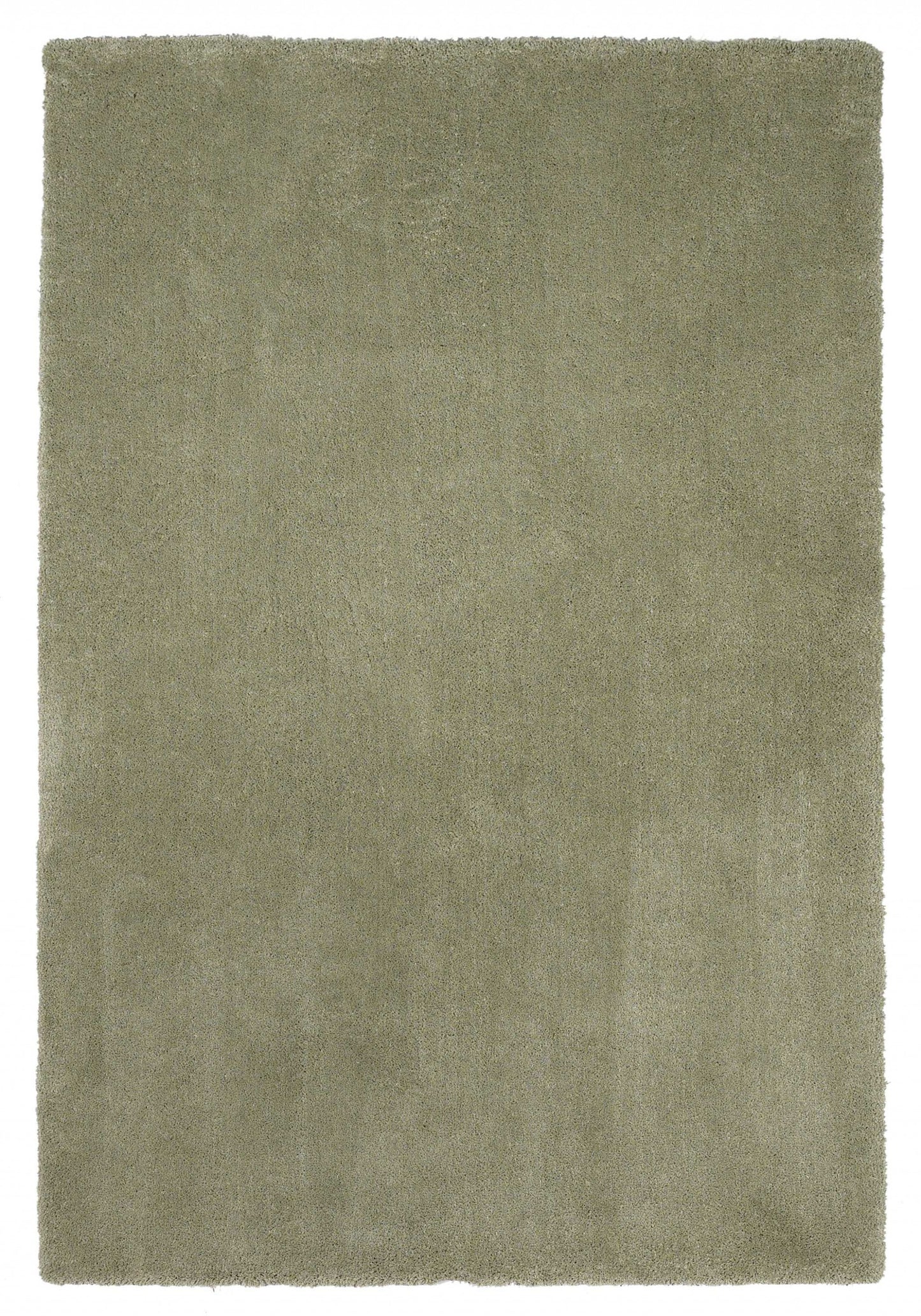 2' X 4' Sage Hand Woven Area Rug