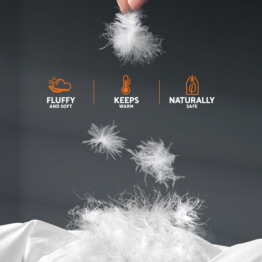 NNEDSZ  Bedding Queen Size Goose Down Quilt