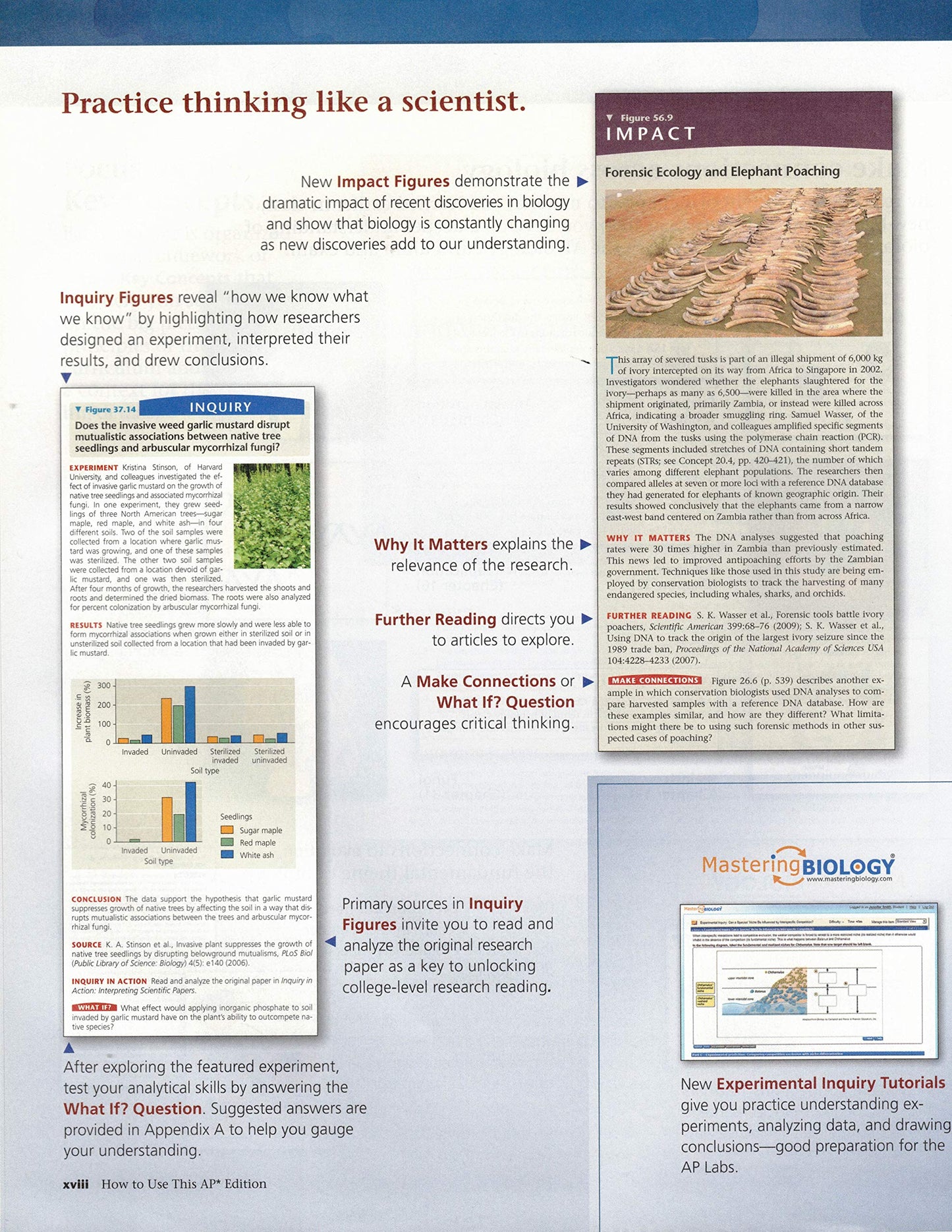 Campbell Biology AP Ninth Edition (Biology, 9th Edition)