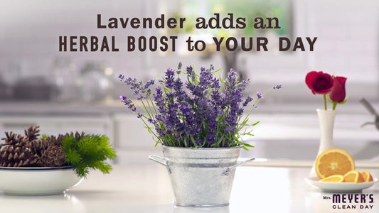 Recharges de savon liquide pour les mains Mrs Meyers Lavande (6 x 33 oz)